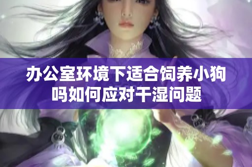 办公室环境下适合饲养小狗吗如何应对干湿问题
