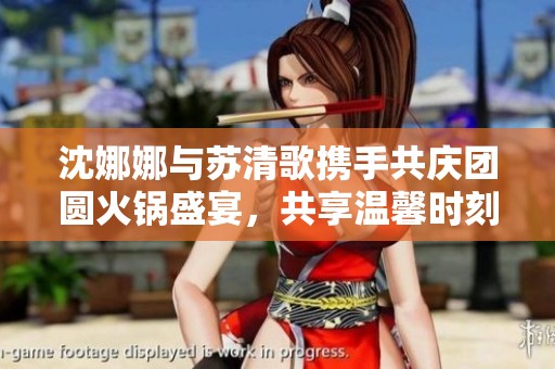 沈娜娜与苏清歌携手共庆团圆火锅盛宴，共享温馨时刻