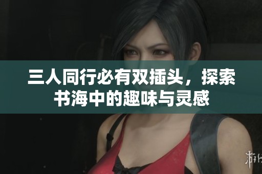 三人同行必有双插头，探索书海中的趣味与灵感