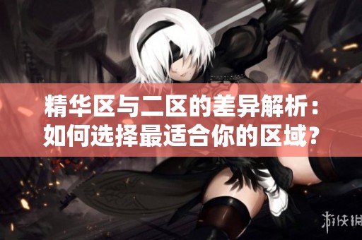 精华区与二区的差异解析：如何选择最适合你的区域？