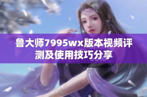 鲁大师7995wx版本视频评测及使用技巧分享