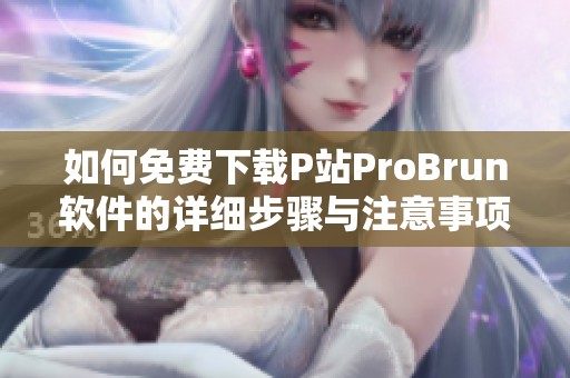 如何免费下载P站ProBrun软件的详细步骤与注意事项