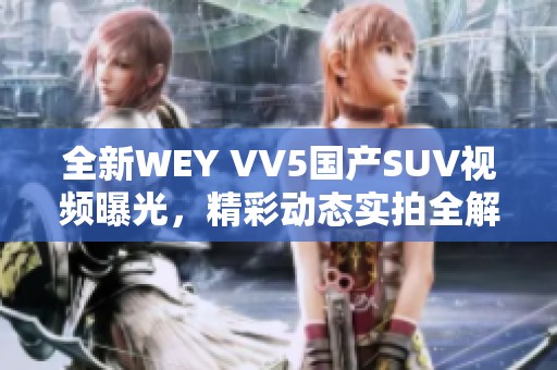 全新WEY VV5国产SUV视频曝光，精彩动态实拍全解析