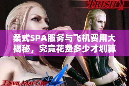 柔式SPA服务与飞机费用大揭秘，究竟花费多少才划算