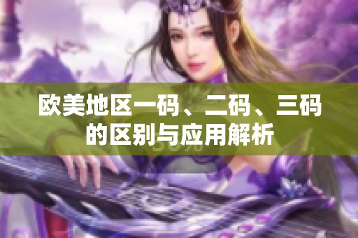 欧美地区一码、二码、三码的区别与应用解析