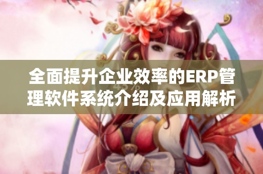 全面提升企业效率的ERP管理软件系统介绍及应用解析