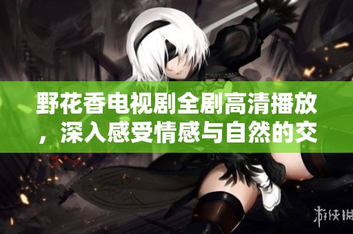 野花香电视剧全剧高清播放，深入感受情感与自然的交融