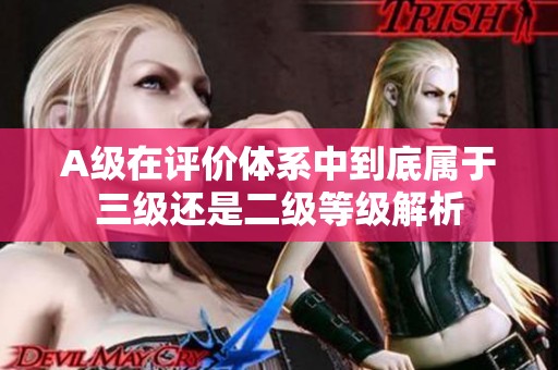 A级在评价体系中到底属于三级还是二级等级解析