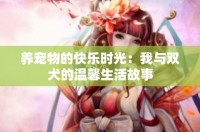 养宠物的快乐时光：我与双犬的温馨生活故事