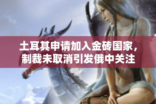 土耳其申请加入金砖国家，制裁未取消引发俄中关注