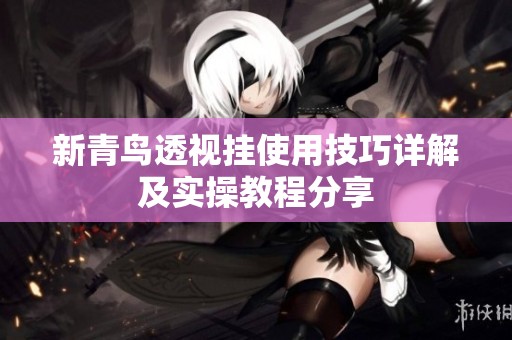 新青鸟透视挂使用技巧详解及实操教程分享