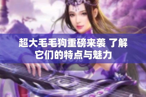 超大毛毛狗重磅来袭 了解它们的特点与魅力