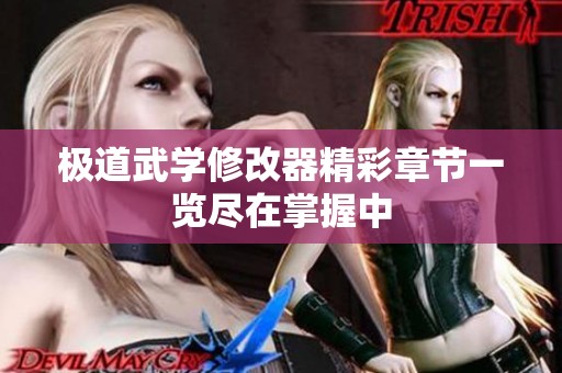 极道武学修改器精彩章节一览尽在掌握中