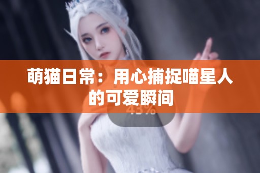 萌猫日常：用心捕捉喵星人的可爱瞬间