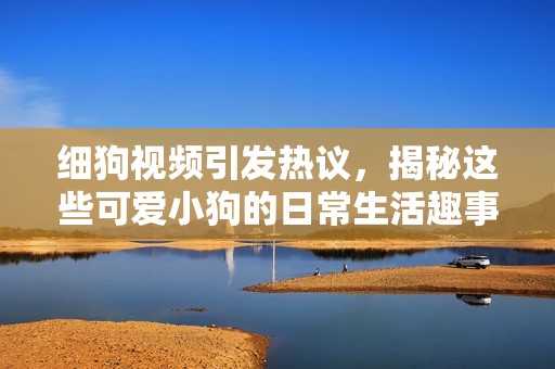 细狗视频引发热议，揭秘这些可爱小狗的日常生活趣事
