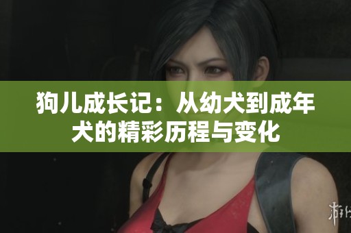 狗儿成长记：从幼犬到成年犬的精彩历程与变化