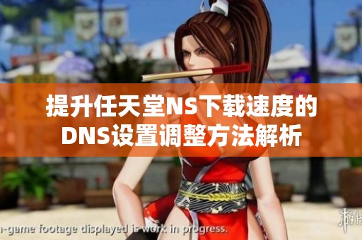 提升任天堂NS下载速度的DNS设置调整方法解析