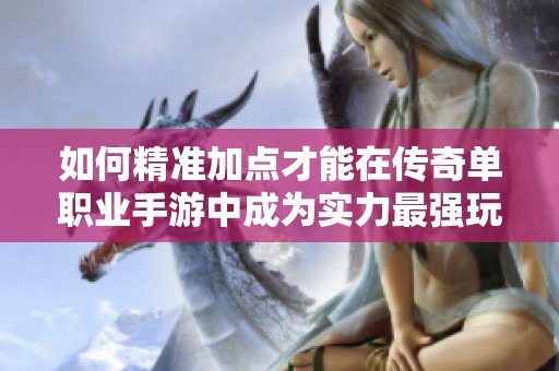 如何精准加点才能在传奇单职业手游中成为实力最强玩家