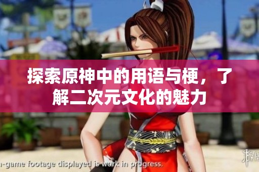 探索原神中的用语与梗，了解二次元文化的魅力
