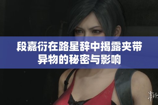 段嘉衍在路星辞中揭露夹带异物的秘密与影响