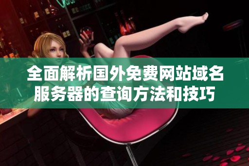 全面解析国外免费网站域名服务器的查询方法和技巧