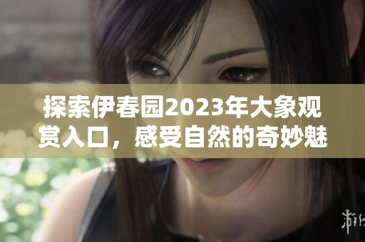 探索伊春园2023年大象观赏入口，感受自然的奇妙魅力