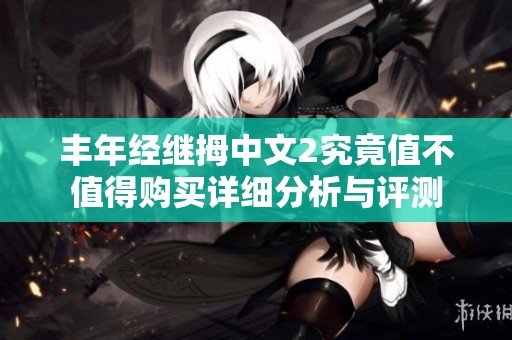 丰年经继拇中文2究竟值不值得购买详细分析与评测