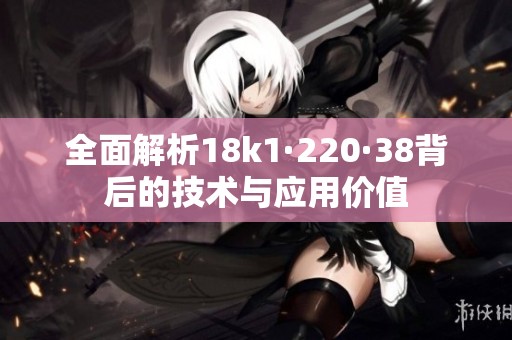 全面解析18k1·220·38背后的技术与应用价值