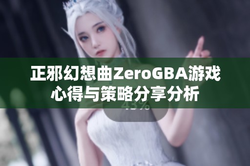 正邪幻想曲ZeroGBA游戏心得与策略分享分析