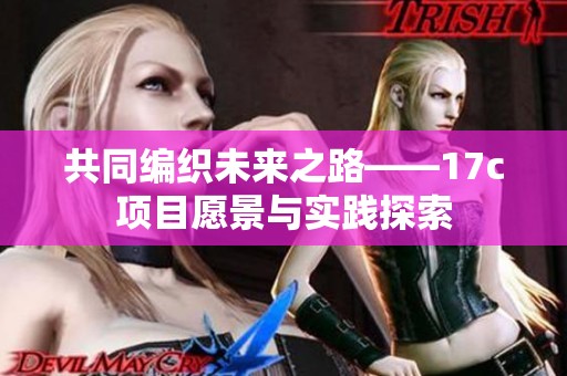 共同编织未来之路——17c项目愿景与实践探索