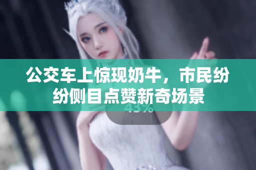 公交车上惊现奶牛，市民纷纷侧目点赞新奇场景