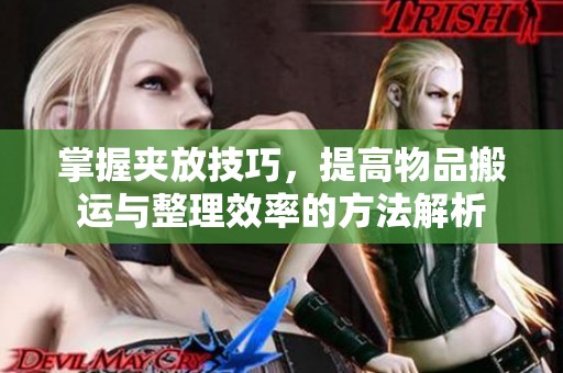 掌握夹放技巧，提高物品搬运与整理效率的方法解析