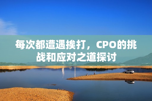 每次都遭遇挨打，CPO的挑战和应对之道探讨