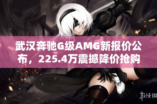 武汉奔驰G级AMG新报价公布，225.4万震撼降价抢购中！