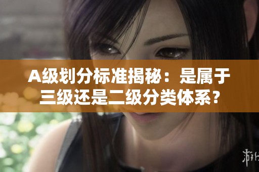A级划分标准揭秘：是属于三级还是二级分类体系？