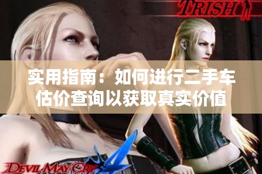 实用指南：如何进行二手车估价查询以获取真实价值