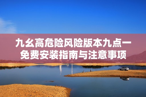 九幺高危险风险版本九点一免费安装指南与注意事项