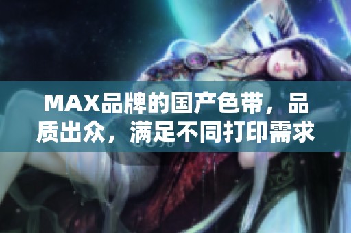 MAX品牌的国产色带，品质出众，满足不同打印需求