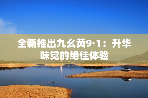 全新推出九幺黄9·1：升华味觉的绝佳体验