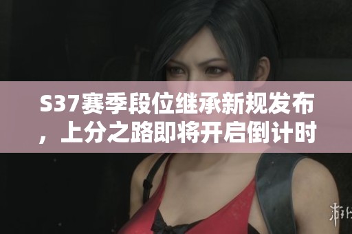 S37赛季段位继承新规发布，上分之路即将开启倒计时！