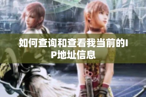 如何查询和查看我当前的IP地址信息