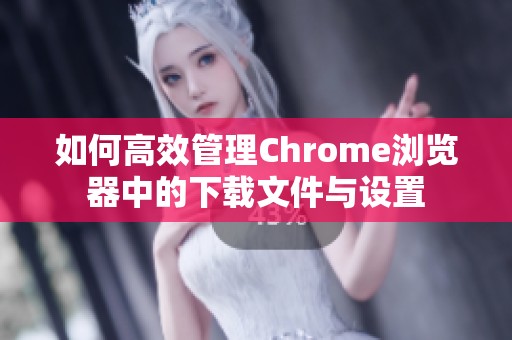 如何高效管理Chrome浏览器中的下载文件与设置