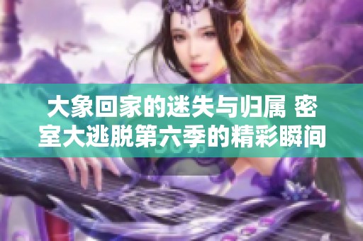 大象回家的迷失与归属 密室大逃脱第六季的精彩瞬间