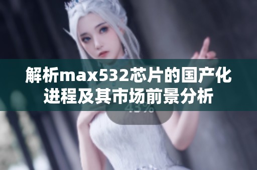 解析max532芯片的国产化进程及其市场前景分析