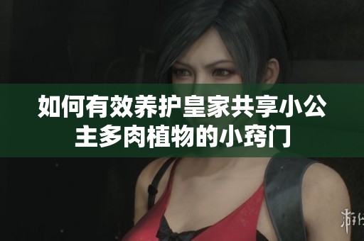 如何有效养护皇家共享小公主多肉植物的小窍门