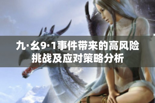 九·幺9·1事件带来的高风险挑战及应对策略分析