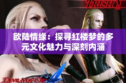 欧陆情缘：探寻红楼梦的多元文化魅力与深刻内涵