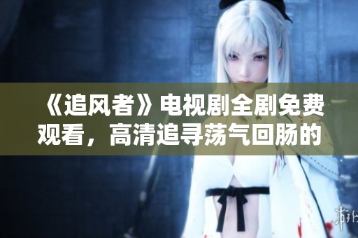 《追风者》电视剧全剧免费观看，高清追寻荡气回肠的故事