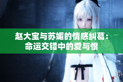 赵大宝与苏媚的情感纠葛：命运交错中的爱与恨