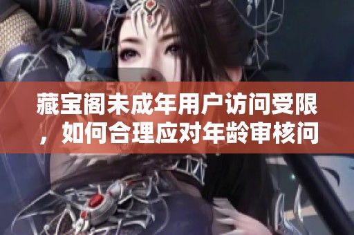 藏宝阁未成年用户访问受限，如何合理应对年龄审核问题